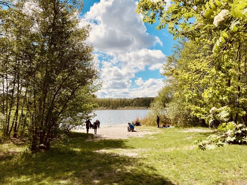 Um den Gorinsee zur Schönower Heide