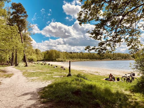 Um den Gorinsee zur Schönower Heide
