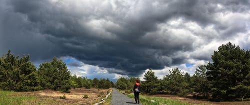 Kleine Runde in der Lieberoser Heide