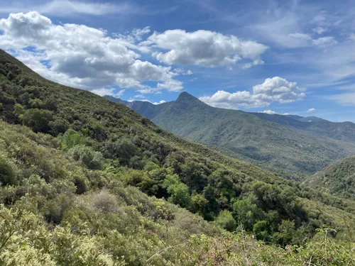 se permiten perros en el bosque nacional de secuoyas