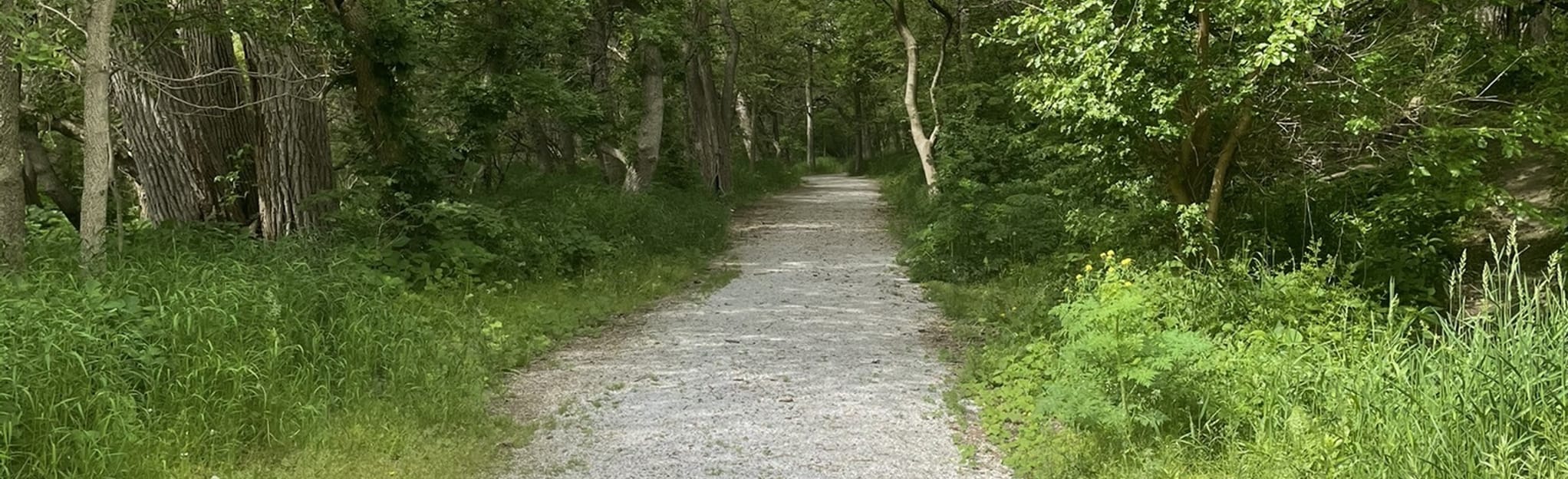 Salt Creek Trail 7 Photos Nebraska Randonnée AllTrails