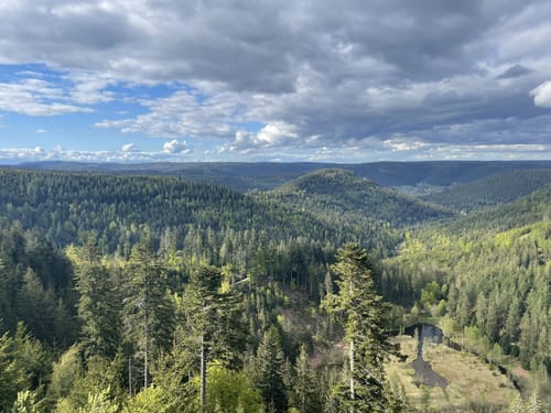 Von der Alexanderschanze zum Ellbachsee