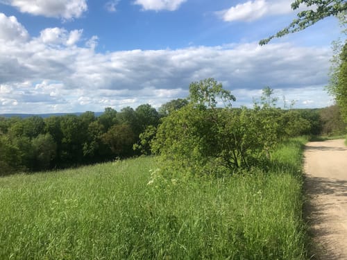 Bad Vilbel Streuobstwiesen-Runde: Landgrabenweg, Erzweg, Kreuzschneide