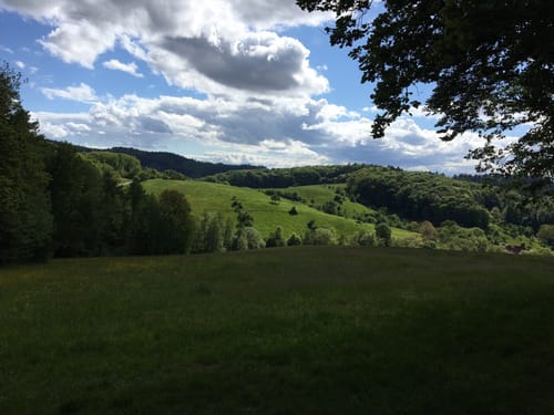 Weinheimer Odenwald Tour