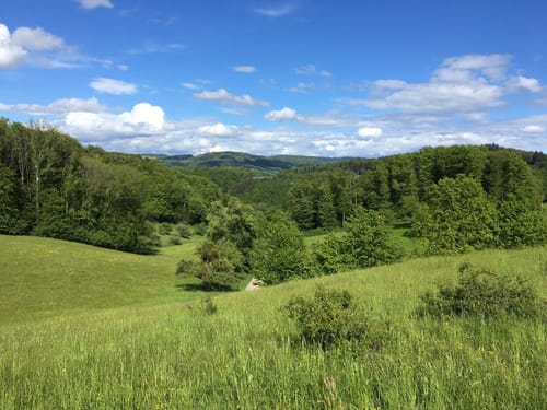 Weinheimer Odenwald Tour