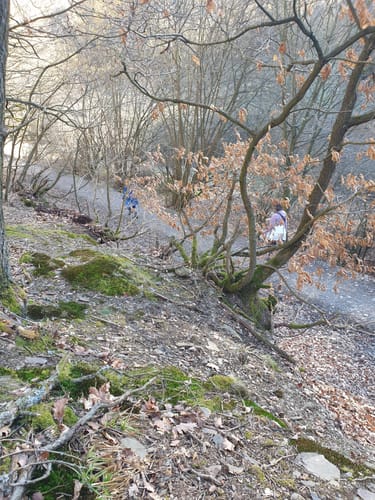 Kolbergweg