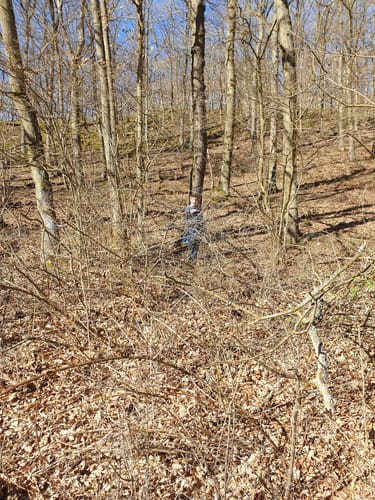 Kolbergweg