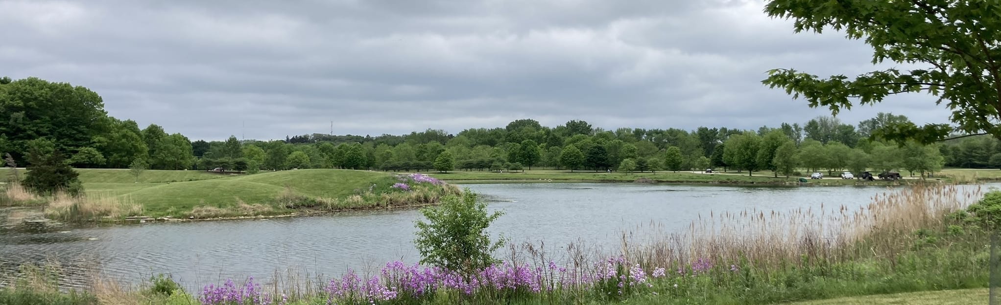 Independence Grove Lakeside Trail 266 fotos Illinois AllTrails