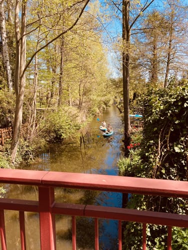 Von Rangsdorf zum Seeblick