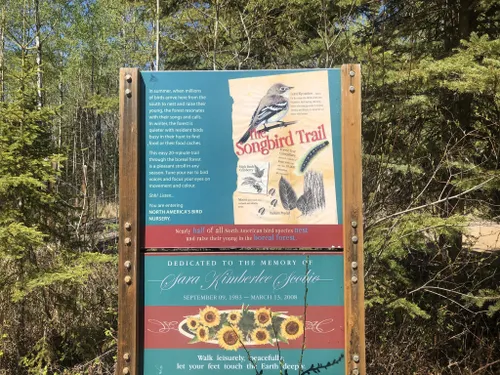 Best Hikes and Trails in Lesser Slave Lake Provincial Park | AllTrails