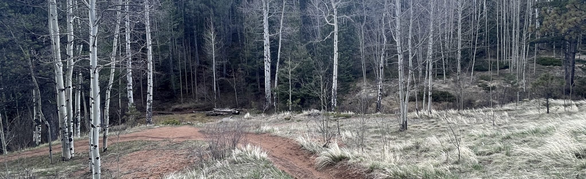 Loud’s Cabin via Gold Camp, Seven Bridges, and Mount Buckthorn Loop