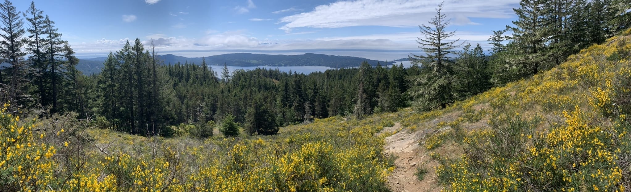 Mount Manuel Quimper Extended Loop, British Columbia, Canada 522