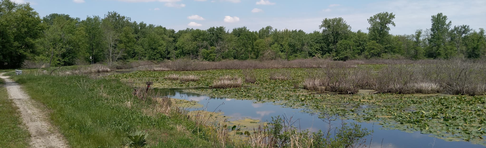 LaSalle Fish and Wildlife Area Loop 117 photos Indiana AllTrails