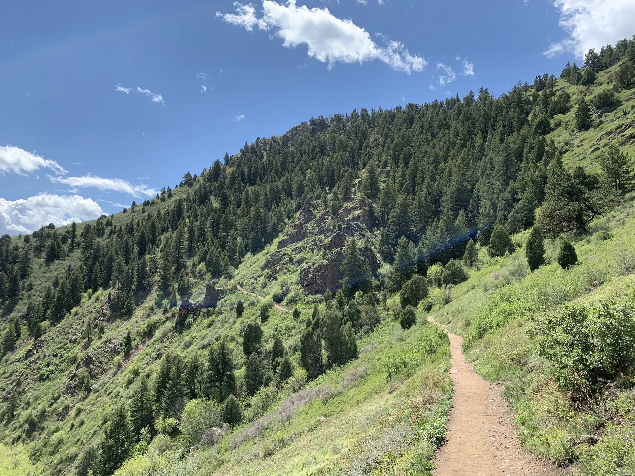 Mount Galbraith Loop via Cedar Gulch Trail