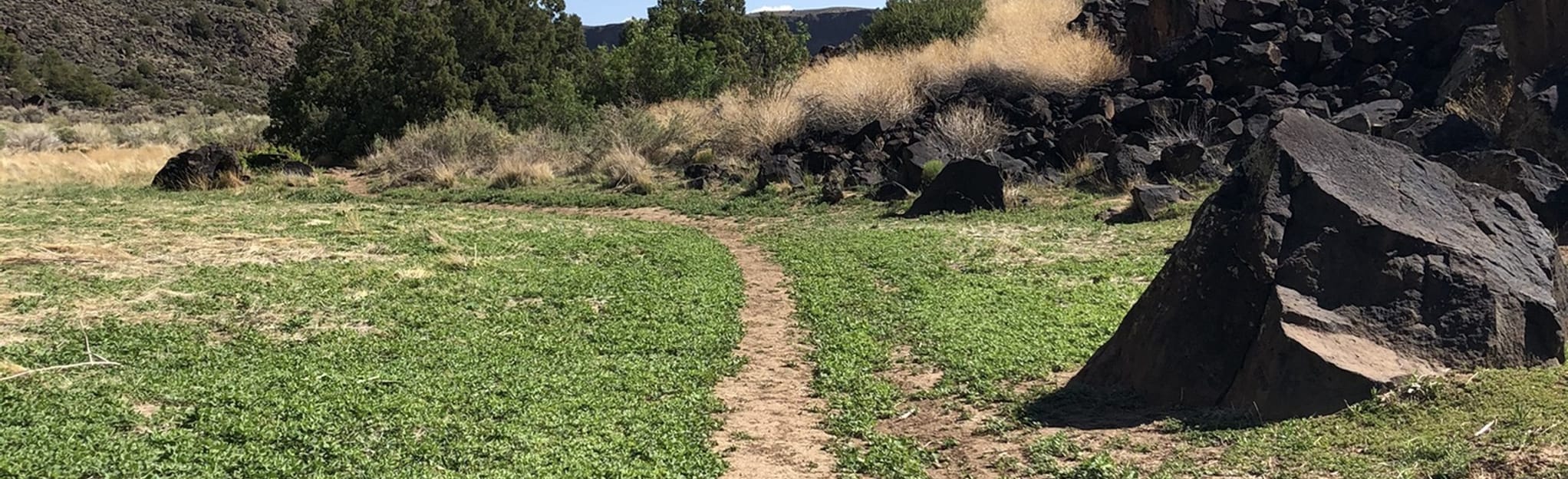La Vista Verde Trail - New Mexico | AllTrails