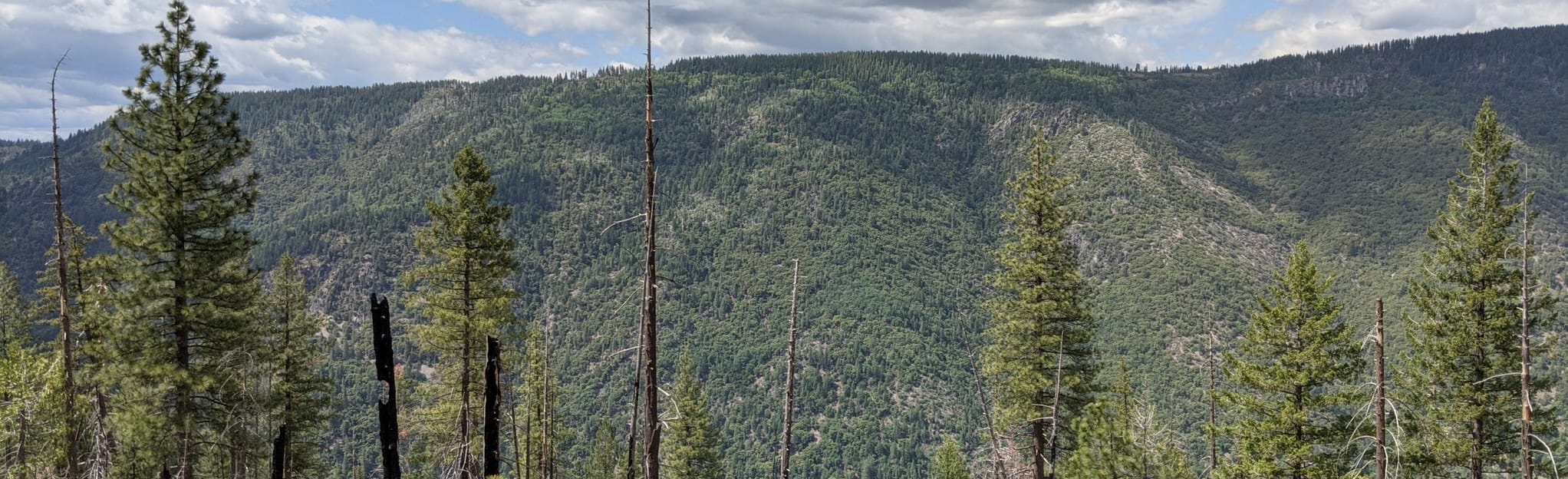 American River Trail CLOSED - EyJidWNrZXQiOiJhc3NldHMuYWxsdHJhaWxzLmNvbSIsImtleSI6InVwbG9hZHMvcGhvdG8vaW1hZ2UvMzY3MjkwMDcvNDY3ZTBhN2YwZTYyMzEwZjFlY2Y4MGEwNWIwYTU2ZTMuanBnIiwiZWRpdHMiOnsidG9Gb3JtYXQiOiJqcGVnIiwicmVzaXplIjp7IndpZHRoIjoyMDQ0LCJoZWlnaHQiOjYyNCwiZml0IjoiY292ZXIifSwicm90YXRlIjpudWxsLCJqcGVnIjp7InRyZWxsaXNRdWFudGlzYXRpb24iOnRydWUsIm92ZXJzaG9vdERlcmluZ2luZyI6dHJ1ZSwib3B0aW1pc2VTY2FucyI6dHJ1ZSwicXVhbnRpc2F0aW9uVGFibGUiOjN9fX0=