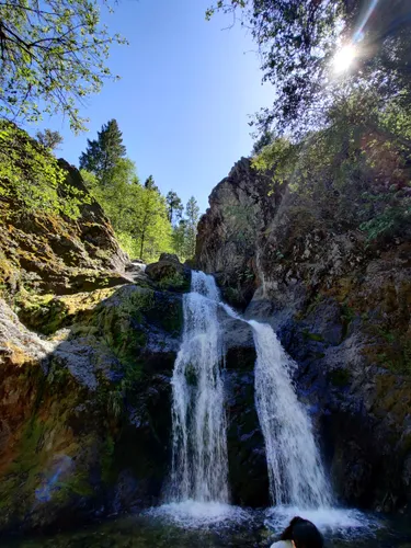 10 Best Trails and Hikes in Mount Shasta | AllTrails