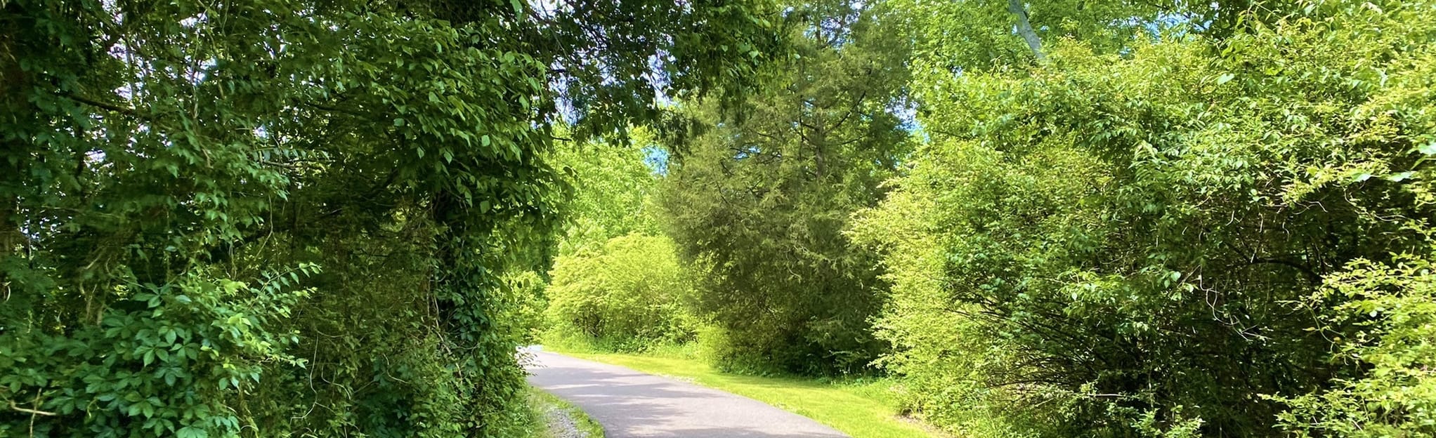 Don Fox Community Park and Sinking Creek Path 28 Photos Tennessee