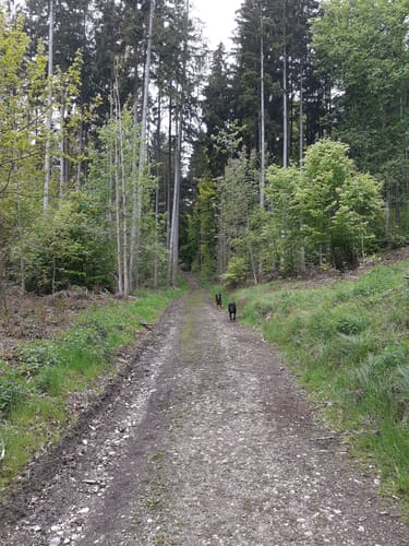 Bad Grönenbach - Herbisried