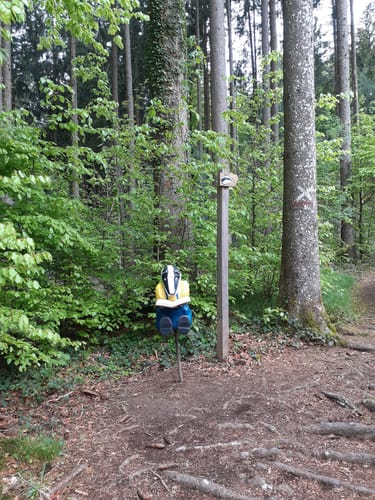 Bad Grönenbach - Herbisried