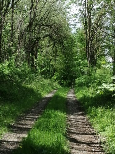 Ersen H2 (verlängert)