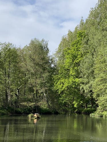 Stadtpark Guben