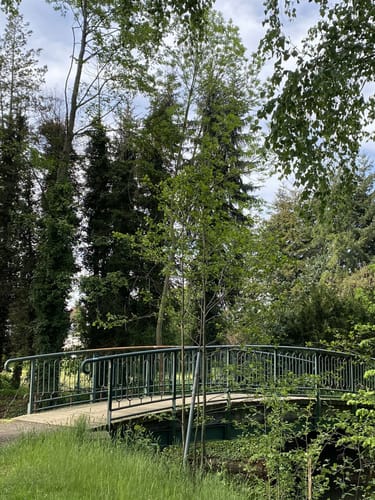 Stadtpark Guben