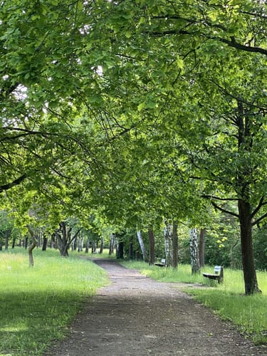 Stadtpark Guben