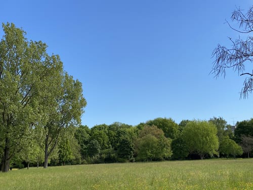 Stadtpark Guben