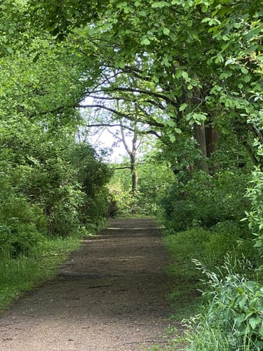 Stadtpark Guben
