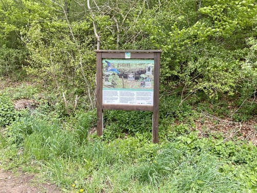 Wo Hänge Blühen Kurz (Alendorf)