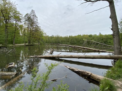 Bärensee Rundweg