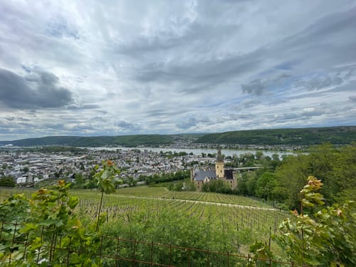 Rheinsteig: Von Leubsdorf nach Rheinbrohl