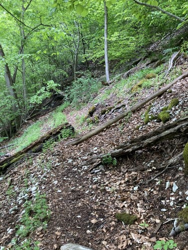 Zur Ruine Hofen