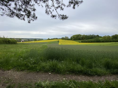 L5 Kapellen Weg