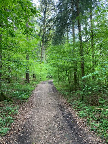 Durch das Aichtal  bei Neuenhaus