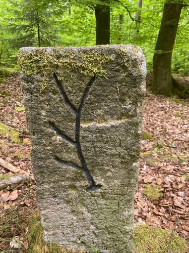 Durch das Aichtal  bei Neuenhaus