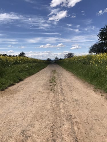 Niedermittlauer Berkopprunde (Premiumspazierwanderweg)