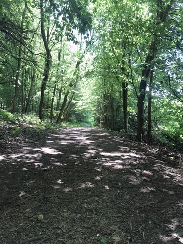 Niedermittlauer Berkopprunde (Premiumspazierwanderweg)