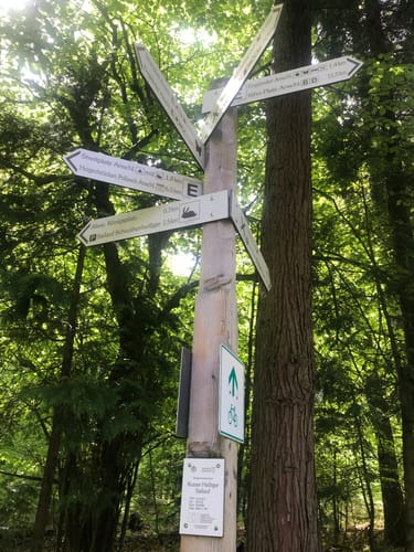 Naturparkweg Schmetterling Engländer