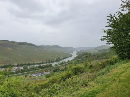 Moselsteig Etappe 2: Palzem - Nittel