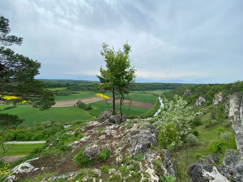 Arnsberger Leite und Schloss
