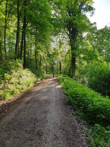 Oberer Mühlweg und Teufelslochweg