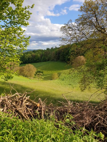 Oberer Mühlweg und Teufelslochweg