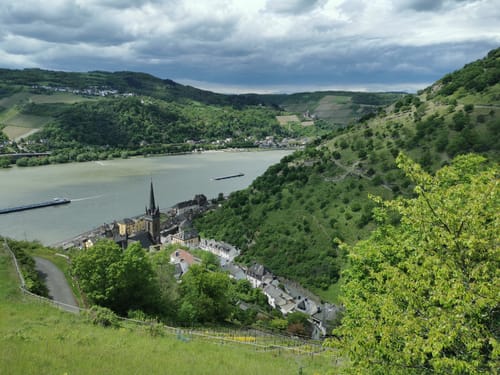 Rhein-Wisper-Glück (Premiumwanderweg)