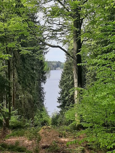 Talsperre Sosa Großer Rundweg