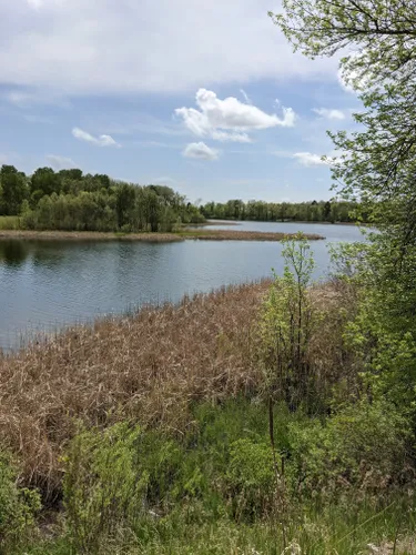 10 Best Hikes and Trails in Chippewa National Forest AllTrails