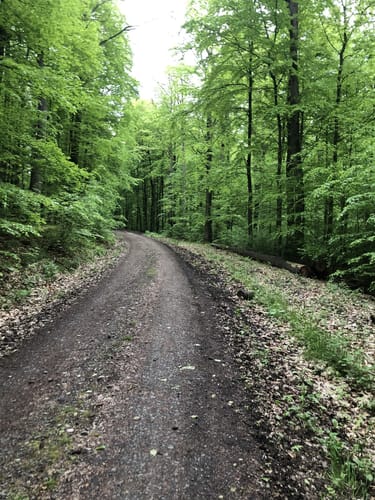 Himmelbergtour (Premiumwanderweg)