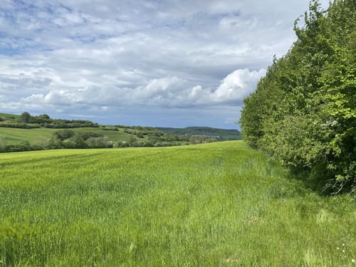 Beruser Tafeltour (Premiumwanderweg)