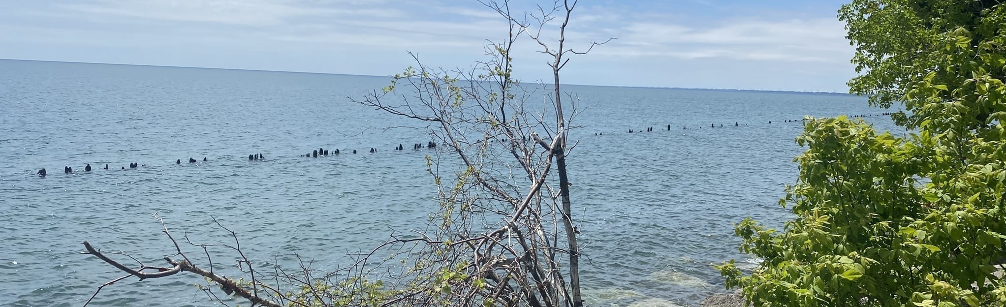 Erieau Marsh 18 Reviews, Map Ontario, Canada AllTrails